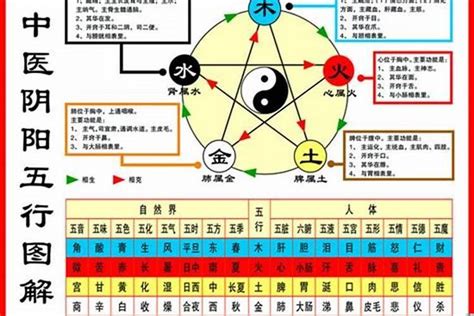 1984 五行|【84年次五行】1984年次五行屬什麼？屬鼠命運分析